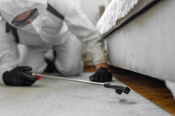 Professional Termite Control technician working in York, AL