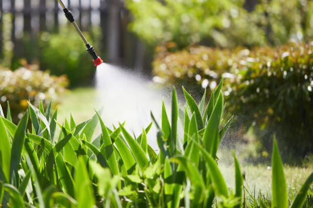 24/7 Emergency Termite Control experts in York, AL