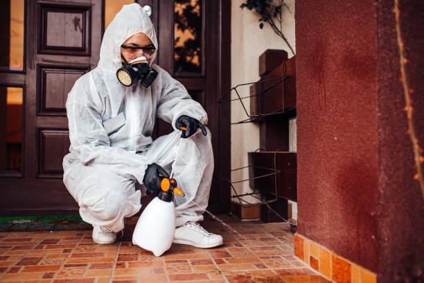 Reliable Termite Control contractor in York, AL by Nex Pest Control