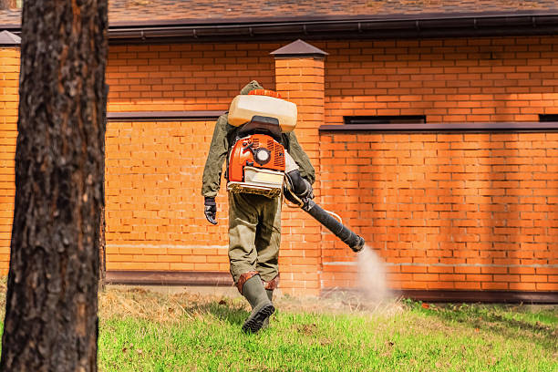 Top rated local Termite Control specialists in York, AL